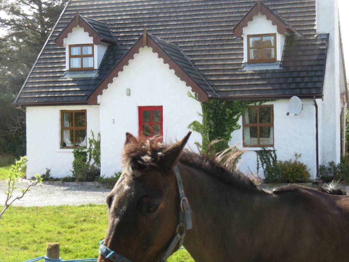 Letterfrack Mountain Farm Cottage On Farm In Village Centre Kültér fotó